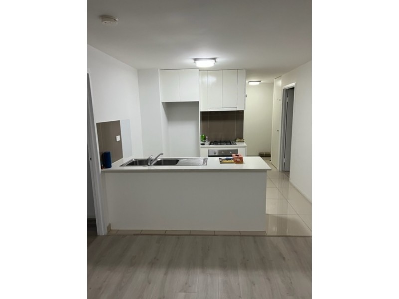 301/120 James Ruse Drive, Rosehill NSW 2142