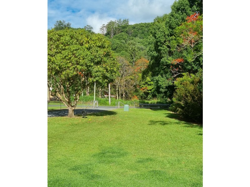 902 Currumbin Creek Road, Currumbin Valley QLD 4223