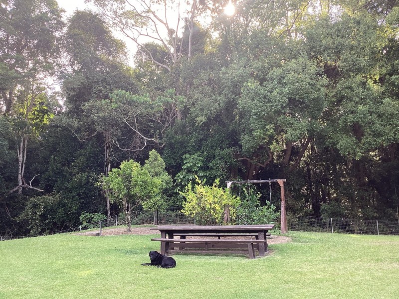 902 Currumbin Creek Road, Currumbin Valley QLD 4223