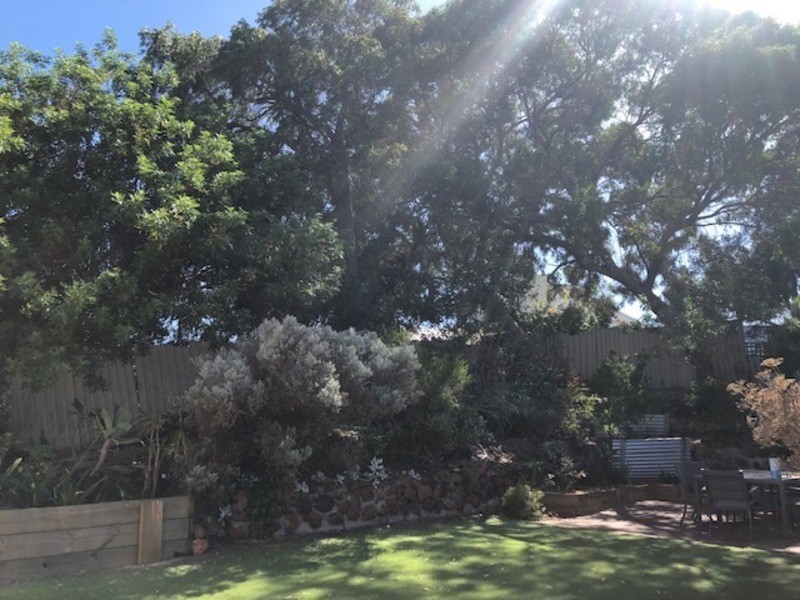 15 David Crescent, Hillarys WA 6025