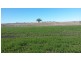 Warialda NSW 2402