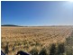 Warialda NSW 2402
