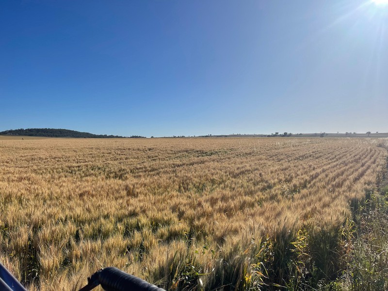 Warialda NSW 2402