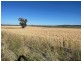 Warialda NSW 2402
