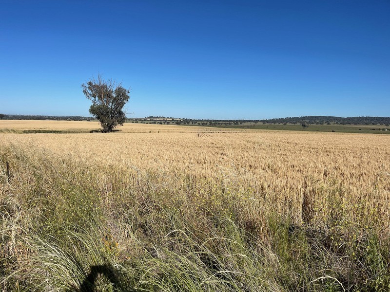 Warialda NSW 2402