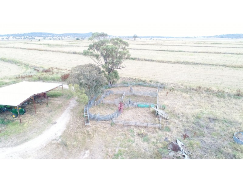 Warialda NSW 2402