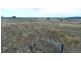 Warialda NSW 2402