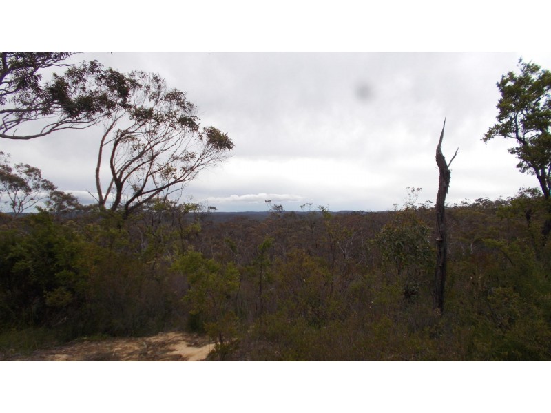 24 Hilltop cresent, Lawson NSW 2783