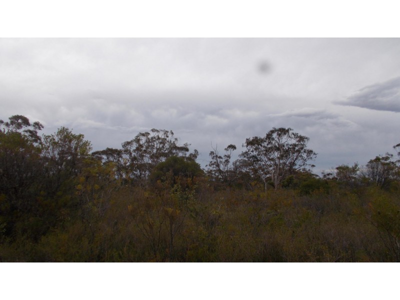 24 Hilltop cresent, Lawson NSW 2783