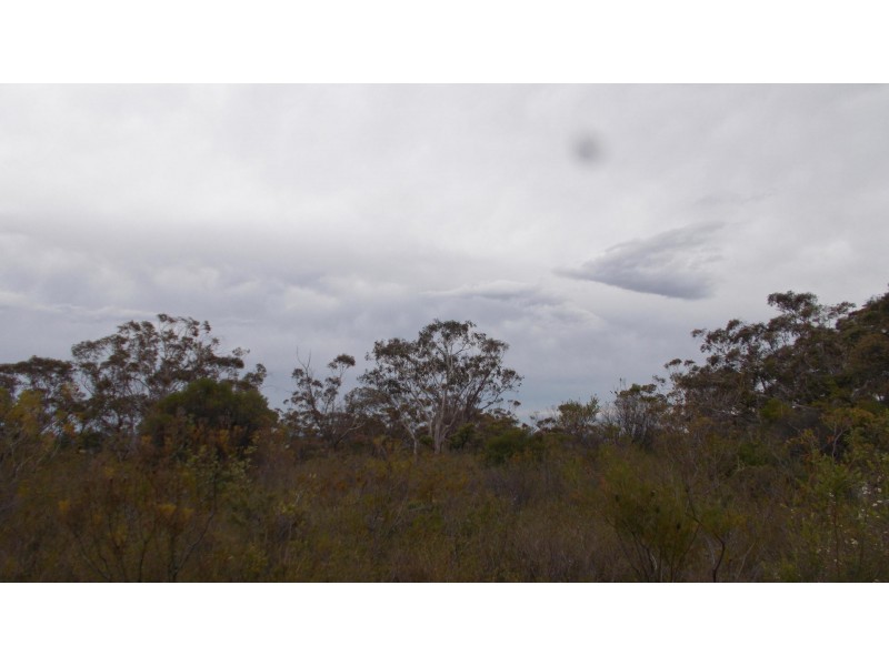 24 Hilltop cresent, Lawson NSW 2783