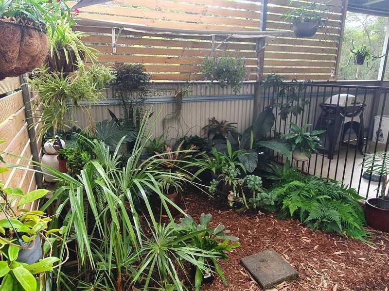 51 Cadagi Drive, Kuranda QLD 4881