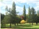 87 Petre, Tenterfield NSW 2372