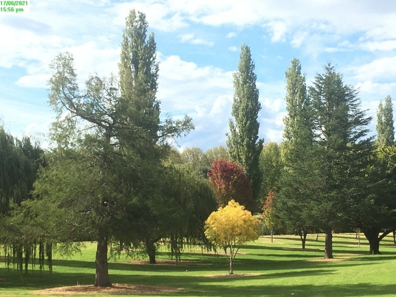 87 Petre, Tenterfield NSW 2372