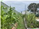 87 Petre, Tenterfield NSW 2372