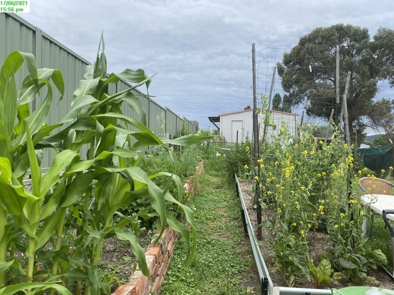 87 Petre, Tenterfield NSW 2372