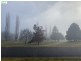 87 Petre, Tenterfield NSW 2372