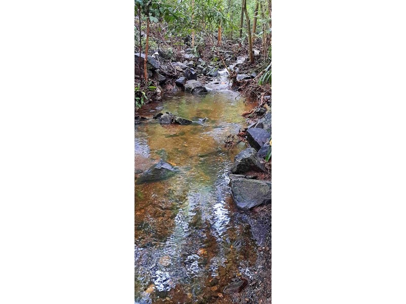 221/305-341 Coral Coast Drive, Palm Cove QLD 4879