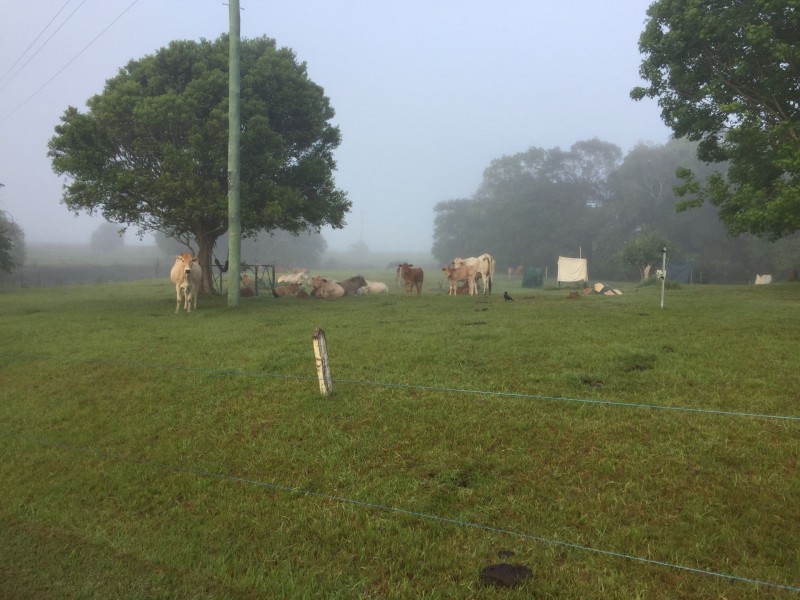 63 Coolabine Road, Coolabine QLD 4574