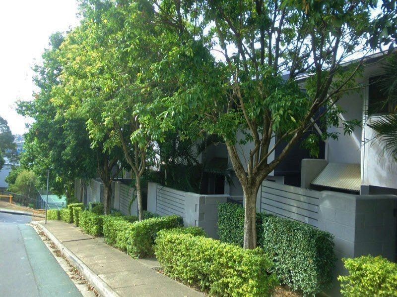 3/4 Cowlishaw Street, Newstead QLD 4006