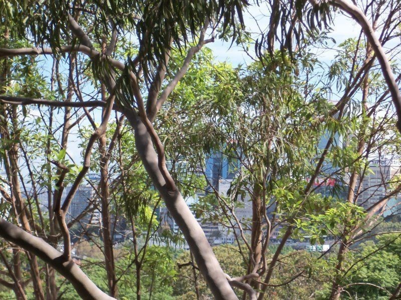 11/8 Hardie Street, Neutral Bay NSW 2089