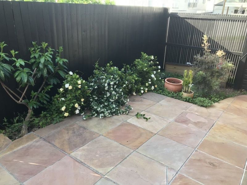 31 Charteris Street, Paddington QLD 4064