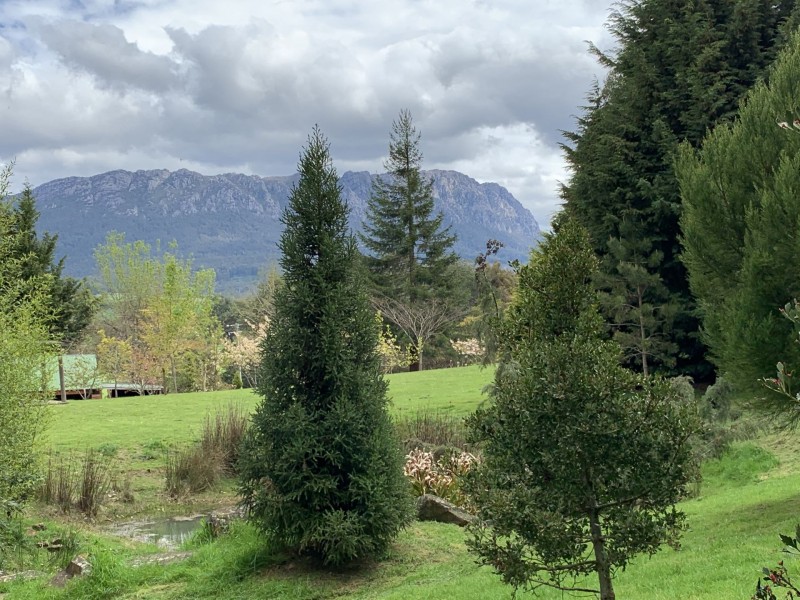 304 Old Paradise Road, Sheffield TAS 7306