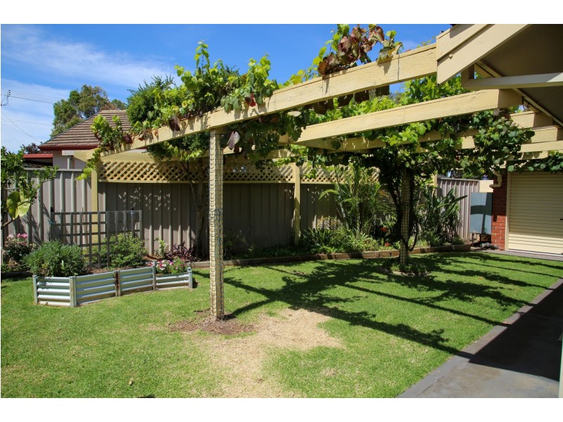 11 Exmoor Avenue, Oaklands Park SA 5046