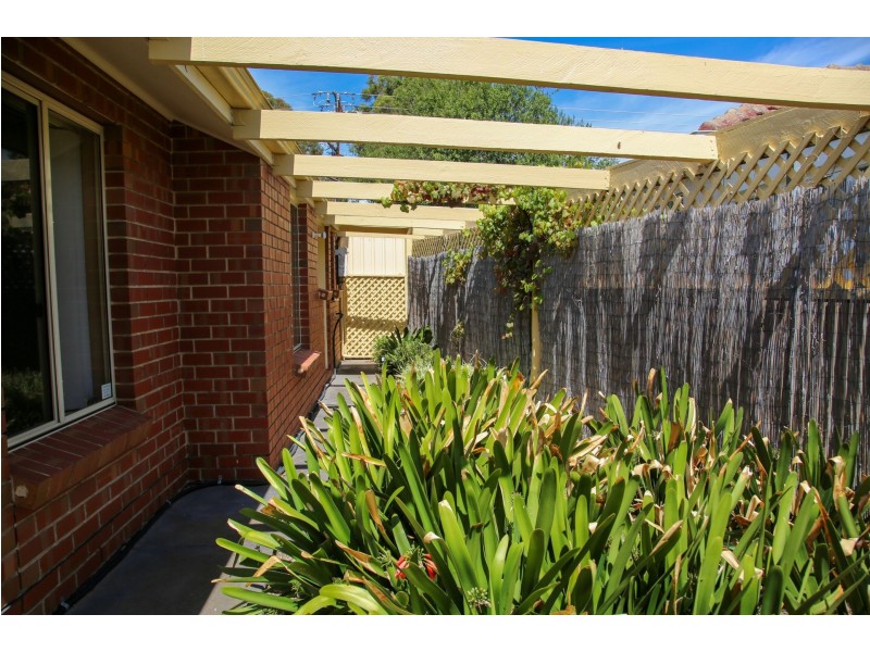 11 Exmoor Avenue, Oaklands Park SA 5046