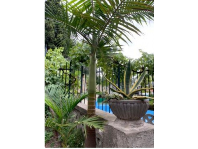 10/61 Darling Street, South Yarra VIC 3141