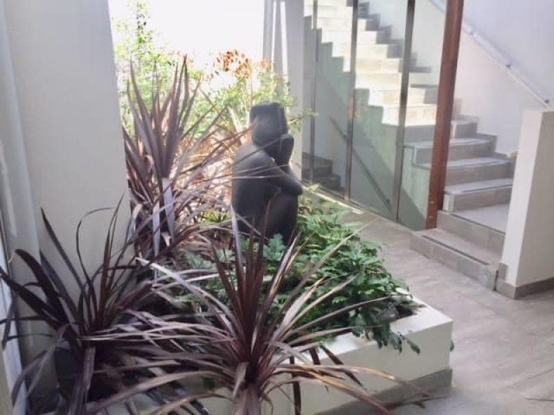 2/266 Unwins Bridge Road, Sydenham NSW 2044