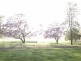 Coolabine QLD 4574