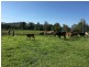 Coolabine QLD 4574