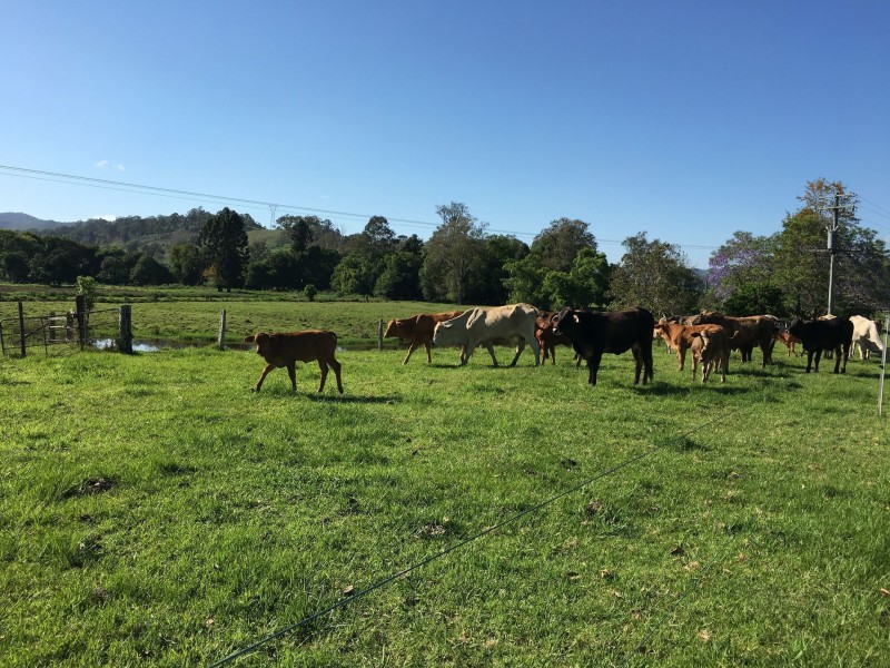 Coolabine QLD 4574