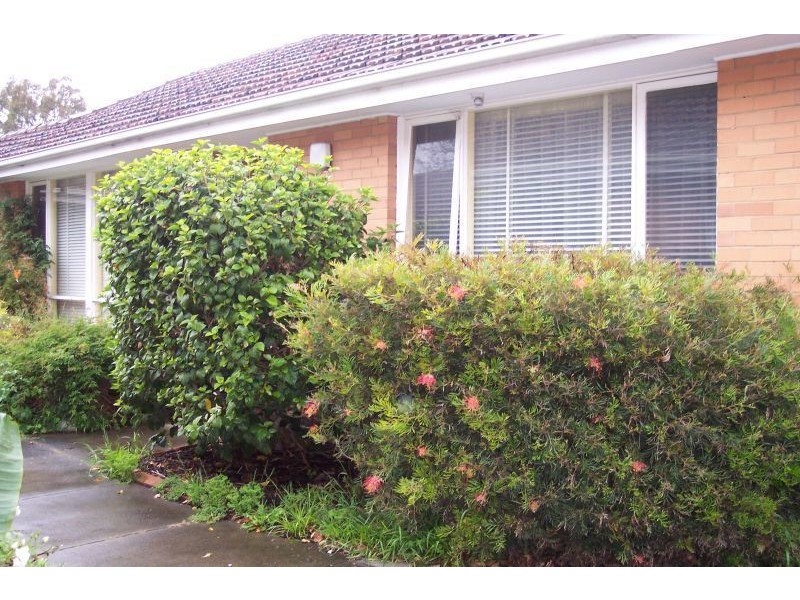 4/22 Wyuna Road, Caulfield North VIC 3161