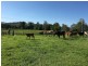 Coolabine QLD 4574