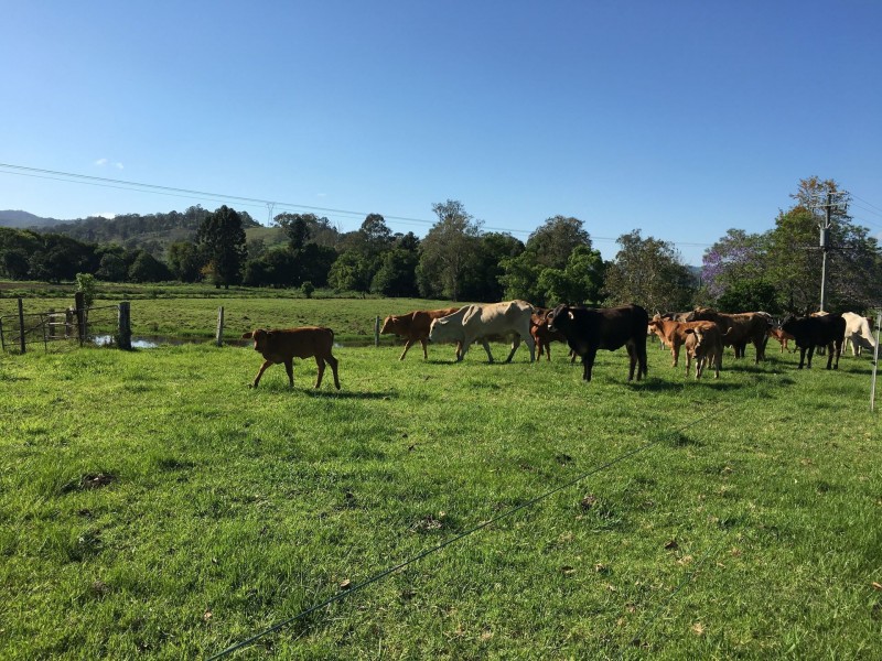 Coolabine QLD 4574