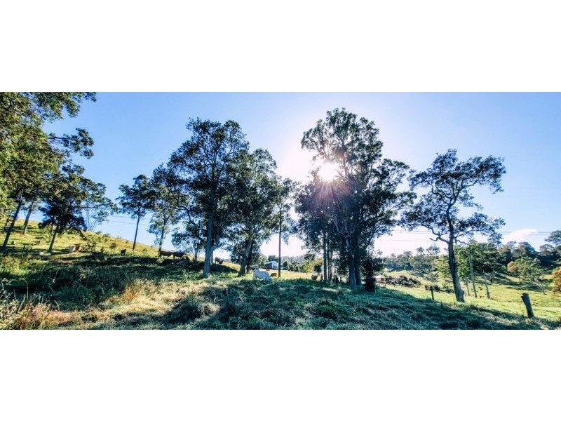 63 Sutton Road, Coolabine QLD 4574