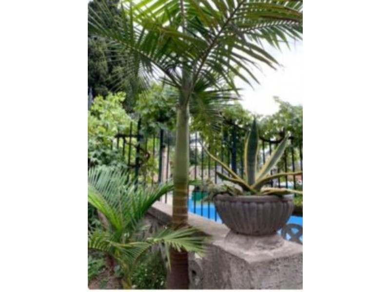 10/61 Darling Street, South Yarra VIC 3141