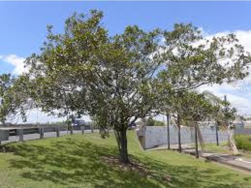 26 Jutland Street, Oxley QLD 4075