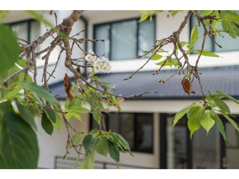 CL2/155a Annandale Street, Annandale NSW 2038