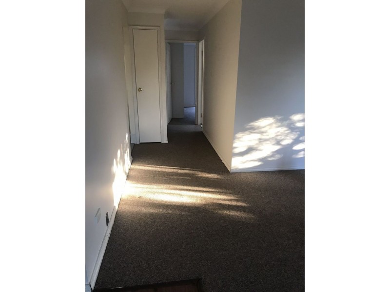 4/1 Sherlock Lane, Tumbi Umbi NSW 2261
