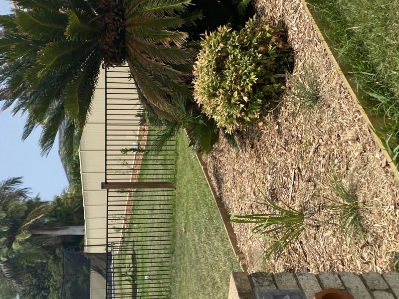 5 Rosina Close, Coffs Harbour NSW 2450