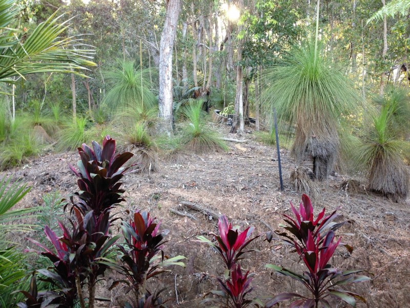 66-68 Mercy Close, Gordonvale QLD 4865