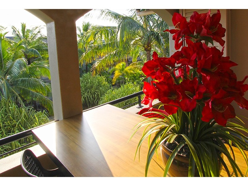 526/12-21 Gregory Street, Westcourt QLD 4870