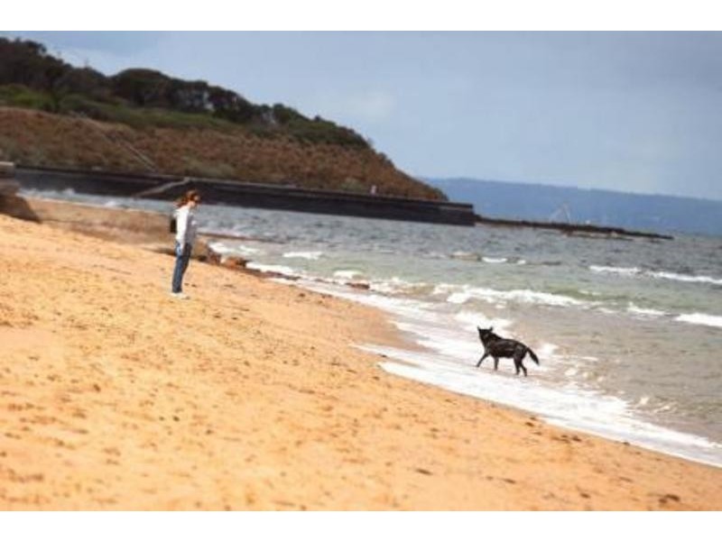 6/1 Karrakatta Street, Black Rock VIC 3193