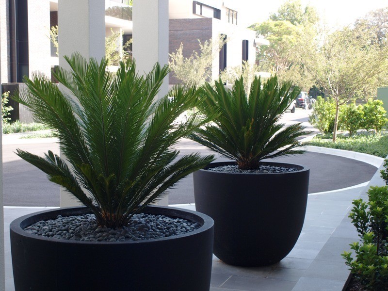 105/34 Warleigh Grove, Brighton VIC 3186