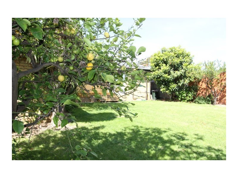 33 Fairview Ave, Cheltenham VIC 3192