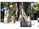 4/29 Chapel Street, St Kilda VIC 3182