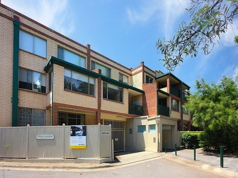 9/1-3 Olivia Lane, Surry Hills NSW 2010