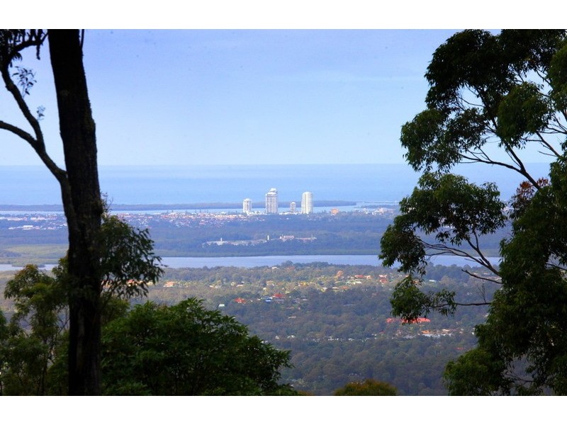 244 Wongawallan Drive, Wongawallan QLD 4210